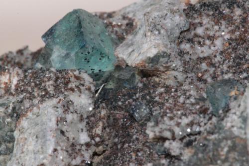 Fluorita com Bourbankita e diversos minerais.
Poços de Caldas, Minas Gerais, Brasil
6,0 cm X 2,0 cm X 4,0 cm (Author: silvio steinhaus)