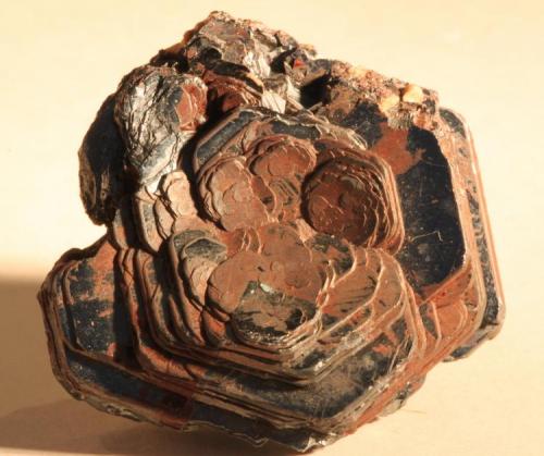 Hematite var. Iron rose - 4,5 cm X 1,5 cm X 3,5 cm
Lustrous metallic platy hexagonal hematite crystals in a concave formation
Ouro Preto, Minas Gerais, Brazil. (Author: silvio steinhaus)