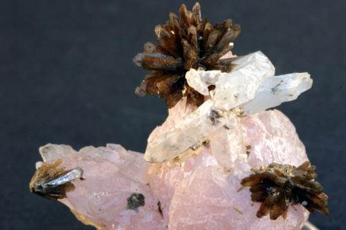 Eosphorite With rose and colorless Quartz - 4,0 cm X 2,5 cm X 4,0 cm (1,5 cm X 0,6 cm X 1,5 cm the radial aggregates)
Itinga, Minas Gerais, Brazil. (Author: silvio steinhaus)