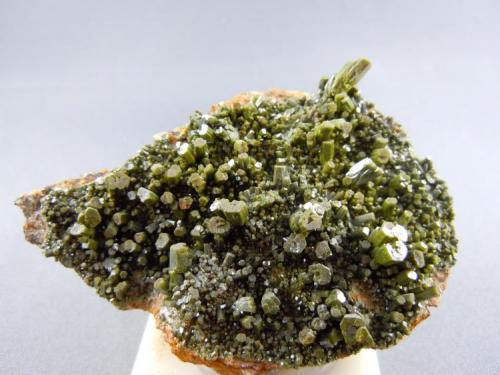 Pyromorphite
Phoenixville, Pa
7.5cm x 5.0cm (Author: rweaver)