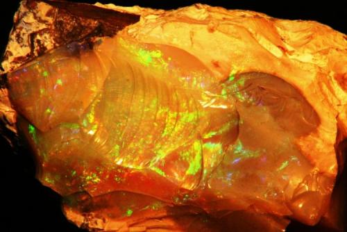 Opal from Pedro II, Piauí, Brasil
11,0 cm X 4,5 cm X 6,5 cm (Author: silvio steinhaus)