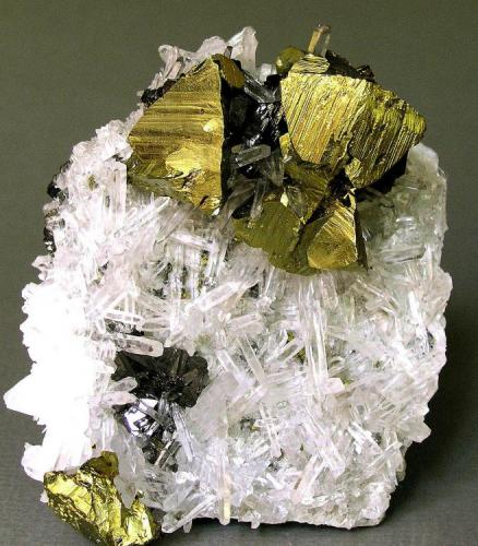 Chalcopyrite on quartz, Animon Mine, Peru. (Author: Samuel)