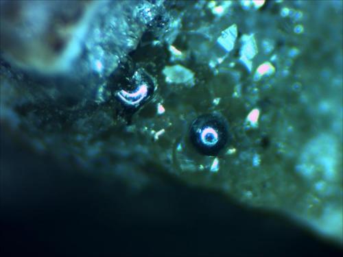 This Mercury glubule is my first attempt at microphotography. Obviously I have a lot to learn, like reflections. However the reflection here attests to the nerly perfect spherical shape of the element as that is my ring light creating the "eyeball" effect. The drop is about 0.012" (0.3 mm).Socrates Mine, Middletown, West Mayacmas District,Sonoma County, California (Author: Jim Prentiss)