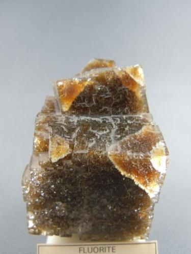 Fluorite
Gibsonburg, Ohio
5.0cm x 6.8cm (Author: rweaver)