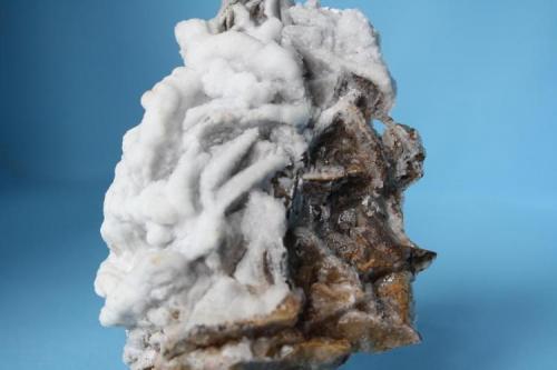 Calcita sobre Siderita<br />Antonina Group of Mines (Toral de los Vados), Requejo, Sobrado, Comarca El Bierzo, León, Castile and León, Spain<br />13 x 8 cm.<br /> (Autor: minero1968)