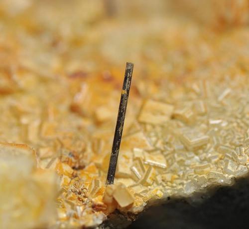 Rutilo<br />Canteras de Mármol, Macael, Comarca Valle del Almanzora, Almería, Andalucía, España<br />Tamaño: cristal de 10 mm<br /> (Autor: Juan Miguel)