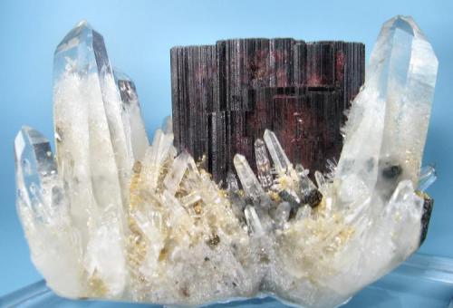 Hübnerite, quartz
Huayllapon mine, Pasto Bueno, Pallasca, Ancash, Peru
66 mm x 45 mm x 35 mm (Author: Carles Millan)