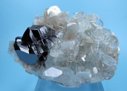 Cassiterite, beryl, muscovite
Mt Xuebaoding, Pingwu Co., Mianyang Prefecture, Sichuan Province, China
81 mm x 57 mm. Cassiterite crystal: 31 mm wide. Main beryl crystal: 22 mm wide (Author: Carles Millan)