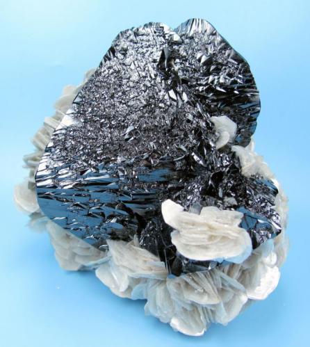 Cassiterite, muscovite
Mt Xuebaoding, Pingwu Co., Mianyang Prefecture, Sichuan Province, China
100 mm x 95 mm (Author: Carles Millan)