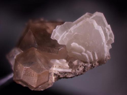 Barite and calcite
France Stone Co. Quarry
Flat Rock, Ohio
Barite crystal group is 5.2 mm across the base. (Author: Pete Richards)