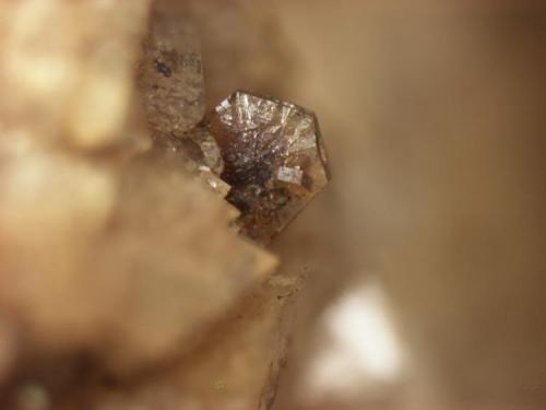 Apatite
Huron River near Milan, OH
Crystal is 0.56 mm across
composite of 7 images (Author: Pete Richards)