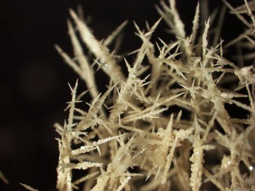 Sulfur, dendritic
Shale fire
Huron River near Milan, Ohio
Field of view is 3.6 mm wide. (Author: Pete Richards)