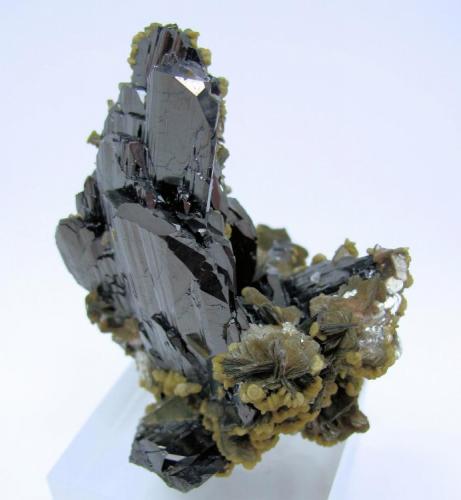 Ferberite, apatite, siderite, mica
Panasqueira Mines, Panasqueira, Covilhã, Castelo Branco District, Portugal
71 mm x 60 mm x 60 mm (Author: Carles Millan)