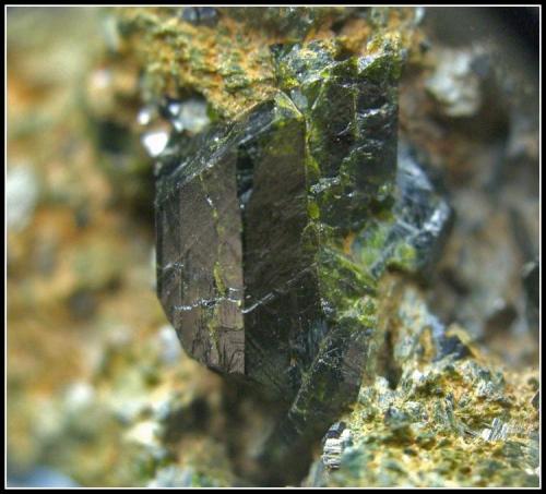 EPIDOTA - Detalle (Autor: Mijeño)