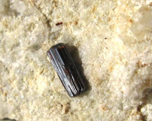 Rutilo (Biterminado).
Laietto.
Condove.
Valle de Sussa.
Piamonte.
Italia.
Tamaño de la pieza: 4.5x3 cm.
Tamaño del cristal: 6 mm. (Autor: Jose Luis Otero)