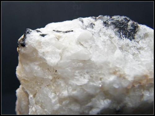 FERBERITA cristalizada sobre CUARZO - Santa Eufemia - Córdoba - 7cm x 8.5cm (Autor: Mijeño)