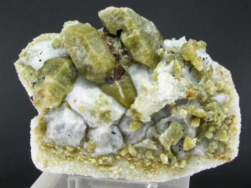 Forsterita + Clinohumita
El Juanar - Ojén - Málaga - Andalucía - España
11.1 x 7.5 cm - Cristal Principal de  3.1 cm (Autor: Diego Navarro)