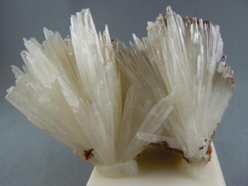 Aragonite
Bloomington, Indiana
10.0cm x 8.0cm (Author: rweaver)