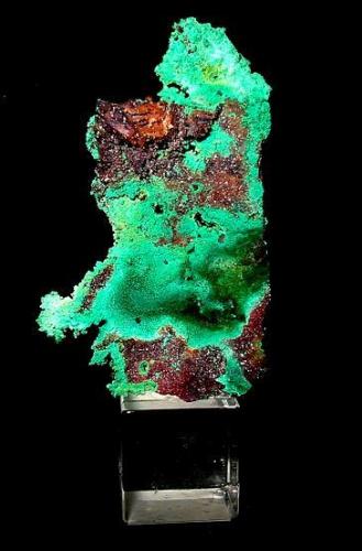 Copper alterated to malachite and cuprite xls. 6 cm aggregate from Mina mine, Marsberg, Sauerland, Westphalia. (Author: Andreas Gerstenberg)