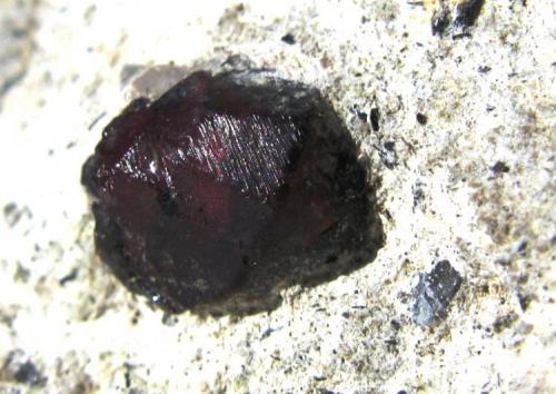 Granate Almandino.
Crater del Hoyazo.
Níjar.
Almeria.
Tamaño de la pieza: 4x3 cm.
Tamaño del cristal: 7 mm. (Autor: Jose Luis Otero)