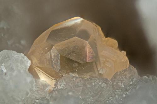 Centennial Eureka Mine (Blue Rock), Tintic District, East Tintic Mts, Juab Co., Utah, USA

Cerussite on quartz
FOV =1.5mm
Nikon D300 on PB6 bellows with 10X Nikon finite conjugate objective. 66 frames at .01mm steps, stacked with Zerene Stacker.
One of 16 Centennial Eureka specimens collected and donated by John Dagenais for the 2010 Pacific Northwest Friends of Mineralogy Symposium live auction. (Author: Doug)