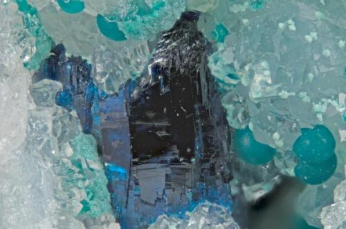 Centennial Eureka Mine (Blue Rock), Tintic District, East Tintic Mts, Juab Co., Utah, USA

Clinoclase (dark blue) with cornwallite (blue green spheres) on quartz.
FOV = 3mm
Nikon D300 on PB6 bellows with 4X Nikon finite conjugate objective. 46 frames at .02mm steps, stacked with Zerene Stacker.
One of 16 Centennial Eureka specimens collected and donated by John Dagenais for the 2010 Pacific Northwest Friends of Mineralogy Symposium ... (Author: Doug)