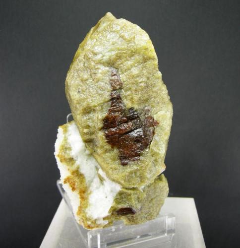 Forsterita-Clinohumita
El Juanar - Ojén - Málaga - Andalucía - España
Detalle de la  parte trasera -  Cristal de 9 cm (Autor: Diego Navarro)