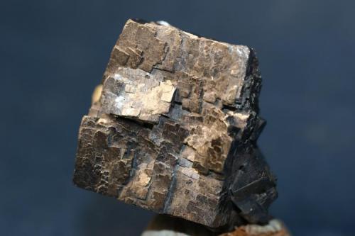 Galena con cristal de Calcita.
36x32.
Joplin Field, Tri-State Distr.,Jasper Co.,Missuri,U.S.A. No tengo ninguna foto decente del cristal de Calcita que acompaña a esta Galena. (Autor: Andrés Torres Triana)