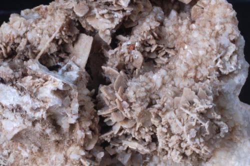 Baritina y otros minerales para estudiar (detalle) - (Nuevo Yacimiento) Zona del Montseny (Top Secret) de momento.
Medida 7,5x7x3,5 cms (Autor: Joan Martinez Bruguera)