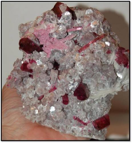 A matrix piece from Jonas with around 20 terminated tourmaline crystals on Lepidolite and Clevelandite.  The back side appears to be Lepidolite replacing Feldspar? Measures 12.7 x 10.2 x 3 cm and weighs 200 grams. Two pictures from front and two from back (Author: VRigatti)