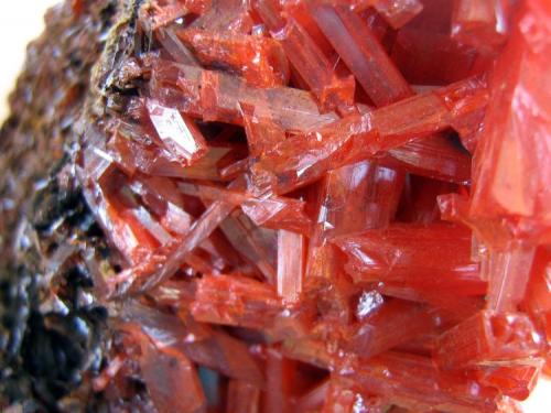 Crocoite, Adelaide Mine, Zeehan Mining District, Dundas, Tasmania, Australia. 10 x 7 x 7 cm. (Author: Lumaes)