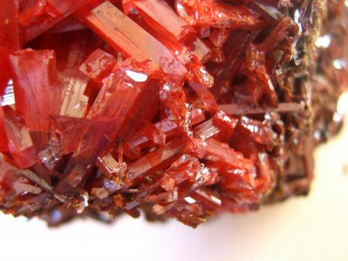 Crocoite, Adelaide Mine, Zeehan Mining District, Dundas, Tasmania, Australia. 10 x 7 x 7 cm. (Author: Lumaes)