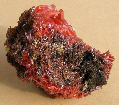 Crocoite, Adelaide Mine, Zeehan Mining District, Dundas, Tasmania, Australia. 10 x 7 x 7 cm. (Author: Lumaes)