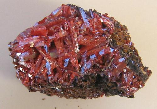 Crocoite, Adelaide Mine, Zeehan Mining District, Dundas, Tasmania, Australia. 10 x 7 x 7 cm. (Author: Lumaes)