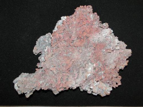 Cobre nativo, Mina Manto Negro, Copiapó, Región de Atacama, Chile, 21 x 15 x 3,5 cm.  (1190 grs.) (Autor: rodrigo manriquez)