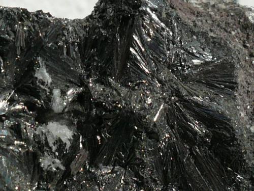 Pirolusita<br />Cala Mines, Cala, Comarca Sierra de Huelva, Huelva, Andalusia, Spain<br />7x7 cm<br /> (Autor: nerofis2)