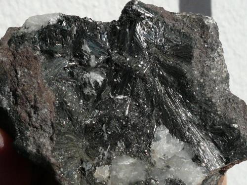 Pirolusita<br />Cala Mines, Cala, Comarca Sierra de Huelva, Huelva, Andalusia, Spain<br />7x7 cm<br /> (Autor: nerofis2)