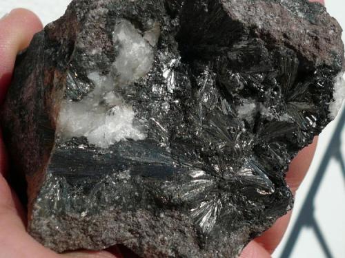 Pirolusita<br />Cala Mines, Cala, Comarca Sierra de Huelva, Huelva, Andalusia, Spain<br />7x7 cm<br /> (Autor: nerofis2)