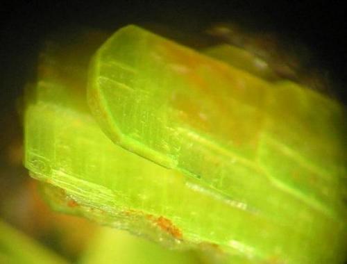 Autunite crystals up to 5 mm from Schlossberg granite quarry, Flossenbürg, Bavaria. (Author: Andreas Gerstenberg)
