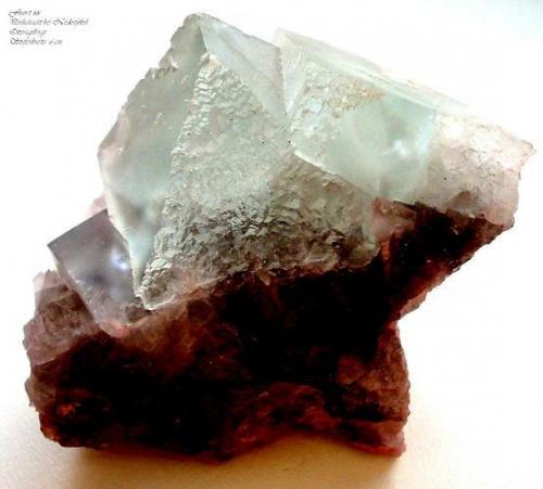 Fluorite from Perlschacht mine, Niederpöbel, Erzgebirge, Saxony. 6,5 cm sample width. (Author: Andreas Gerstenberg)