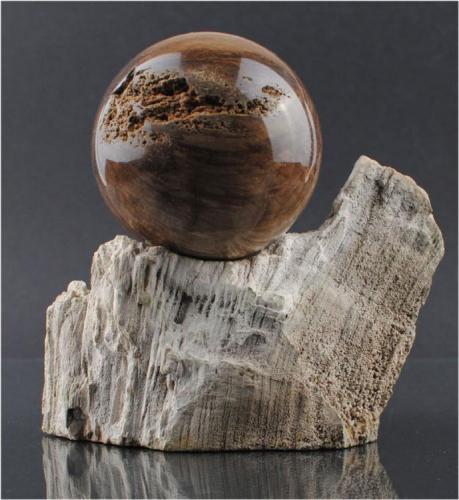 Handmade Petrified wood sphere, 70mm (Author: farmukanx)
