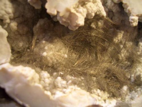 Millerite
Kaser Quarry, Ollie, Keokuk County, Iowa, USA
Field of view is 3.8cm.
Photo: Jim Prentiss

A "cat’s hair" Millerite from Jim Prentiss (http://www.mineral-forum.com/message-board/viewtopic.php?p=8866#8866) 
Thanks Jim! (Author: Jordi Fabre)