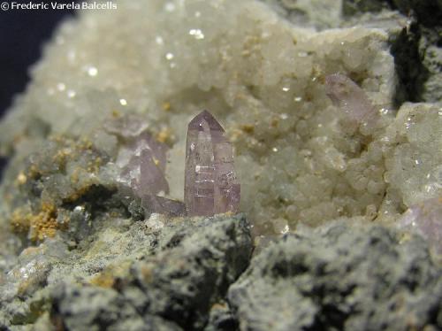 Cuarzo (variedad amatista).
Cantera Capurro, Osilo, Sassari, Cerdeña, Italia.
Tamaño del cristal 1,2 cm.
Detalle de la pieza anterior. (Autor: Frederic Varela)