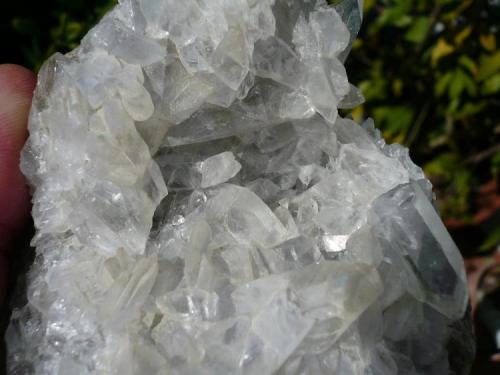 Glauberita<br />Consuelo Mine, Chinchón, Comarca Las Vegas, Community of Madrid, Spain<br />2x10 cm<br /> (Autor: nerofis2)