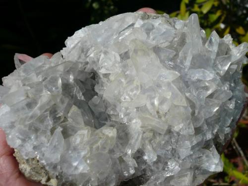 Glauberita.<br />Consuelo Mine, Chinchón, Comarca Las Vegas, Community of Madrid, Spain<br />12x10 cm.<br /> (Autor: nerofis2)