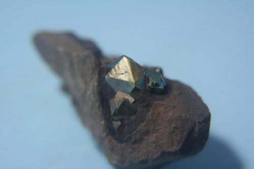 Pirita<br />Lucrecia Mine, Pobladura de las Regueras, Igüeña, Comarca El Bierzo, León, Castile and León, Spain<br />Tamaño del cristal mayor 1,2 cm.<br /> (Autor: minero1968)