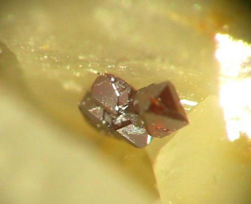 Cuprite aggregate (2 mm) on baryte from Clara mine, Oberwolfach, Black Forest. (Author: Andreas Gerstenberg)