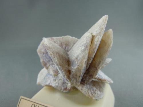 Quartz after Gypsum
Crawford, Dawes County, Nebraska, USA
4.5 cm. x 4.8 cm.
Photo: Bob Weaver

Kindly, Bob Weaver supplied a photo to lead this Nebraska thread. 
Thanks Bob! (Author: Jordi Fabre)