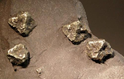Pyrite - Queen Hill Quarry, Plattsmouth, Nebraska  Crystal size is 1.75 cm. (Author: crosstimber)