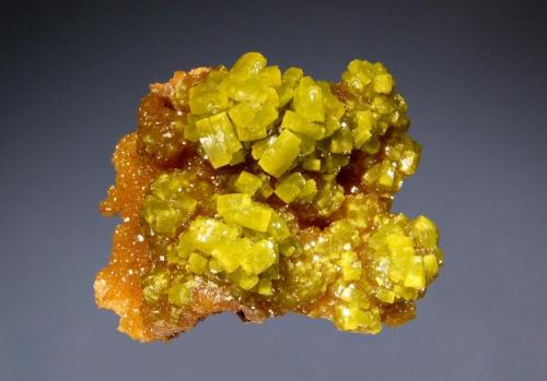 Pyromorphite - Bunker Hill Mine, 3.7 x 4.7 cm. (Author: crosstimber)